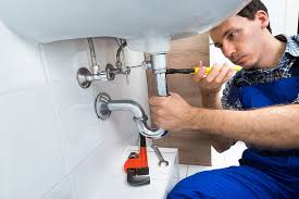 Best Pipe Inspections and Diagnostics  in Meadowbrook, AL